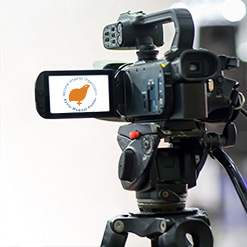 広報に関するお問い合わせ