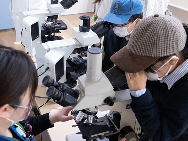 からだの中をミクロの世界で見てみよう！！